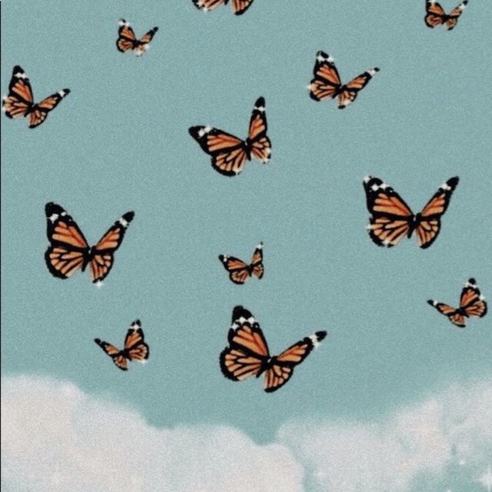 Meet your Posher, Juliana